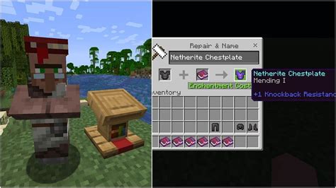 Which Villager Gives Mending Books: A Deep Dive into the Mysteries of a Craft